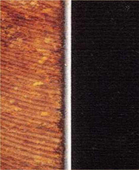 Rust converted to a sealed blue-black film — the proof that it worked.