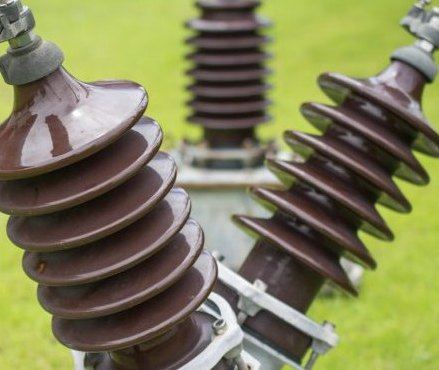 Insulators, CTs and PTs guarded against tracking.