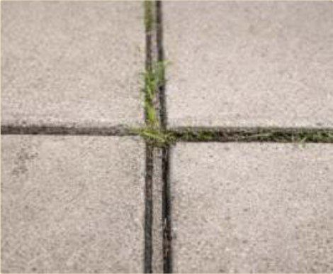 An expansion joint sealed flexibly against water, chemicals and abrasion.
